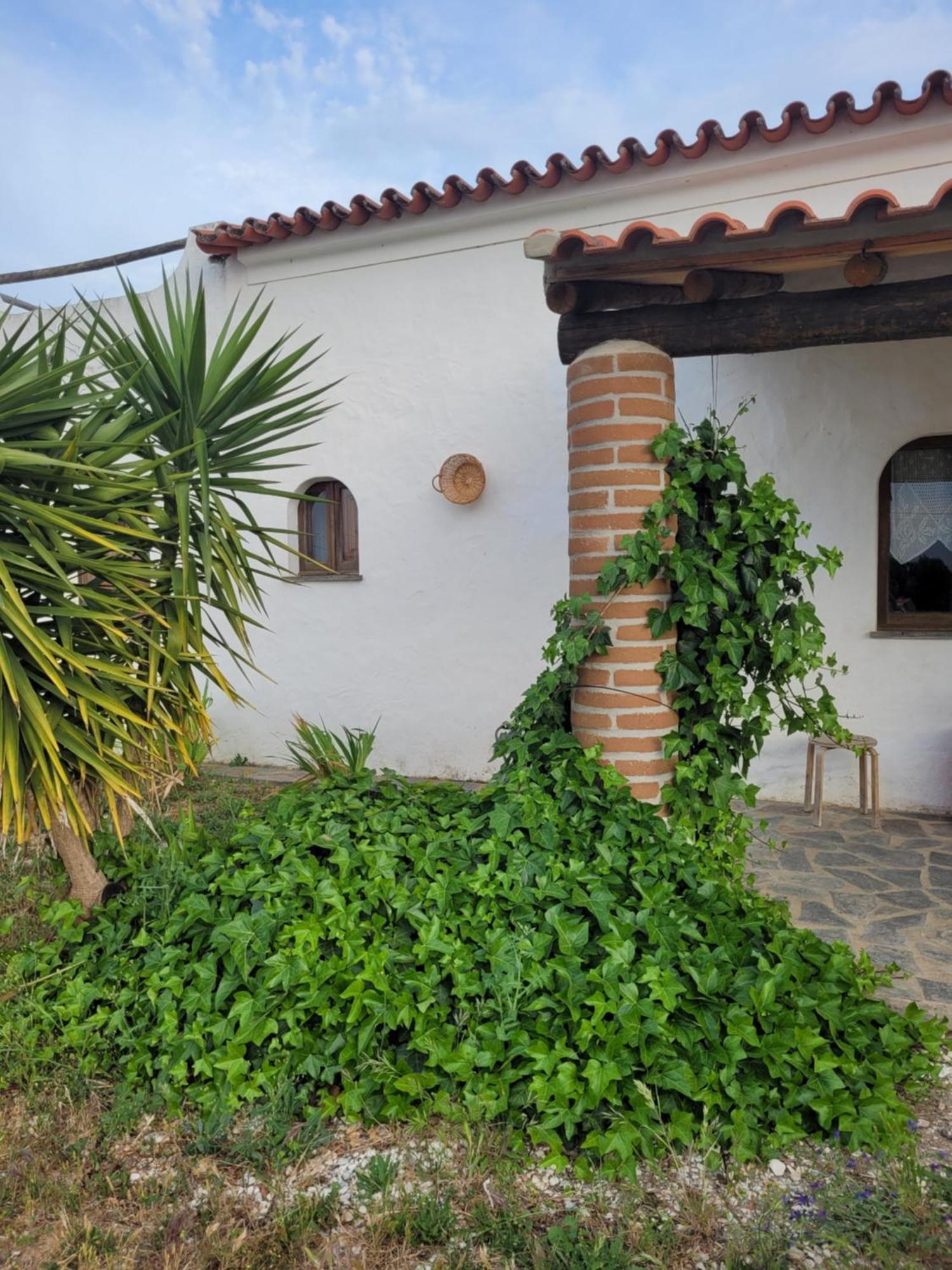 Вилла Quinta Da Belavista Регенгуш-ди-Монсараш Экстерьер фото
